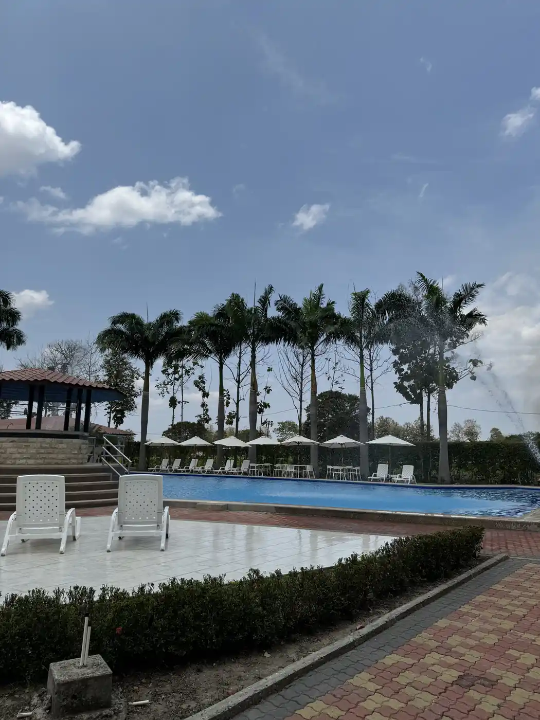 Tumbonas blancas junto a la piscina con sombrillas y palmeras bajo el cielo azul de Casa Grande Resort