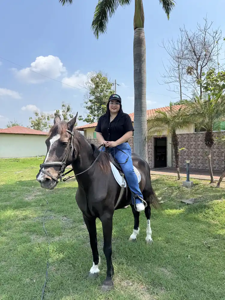 Visitante montando un caballo oscuro en las áreas verdes de Casa Grande Resort