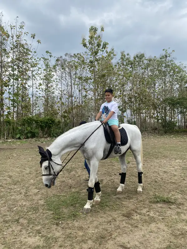 Niño montando un caballo blanco en Casa Grande Resort