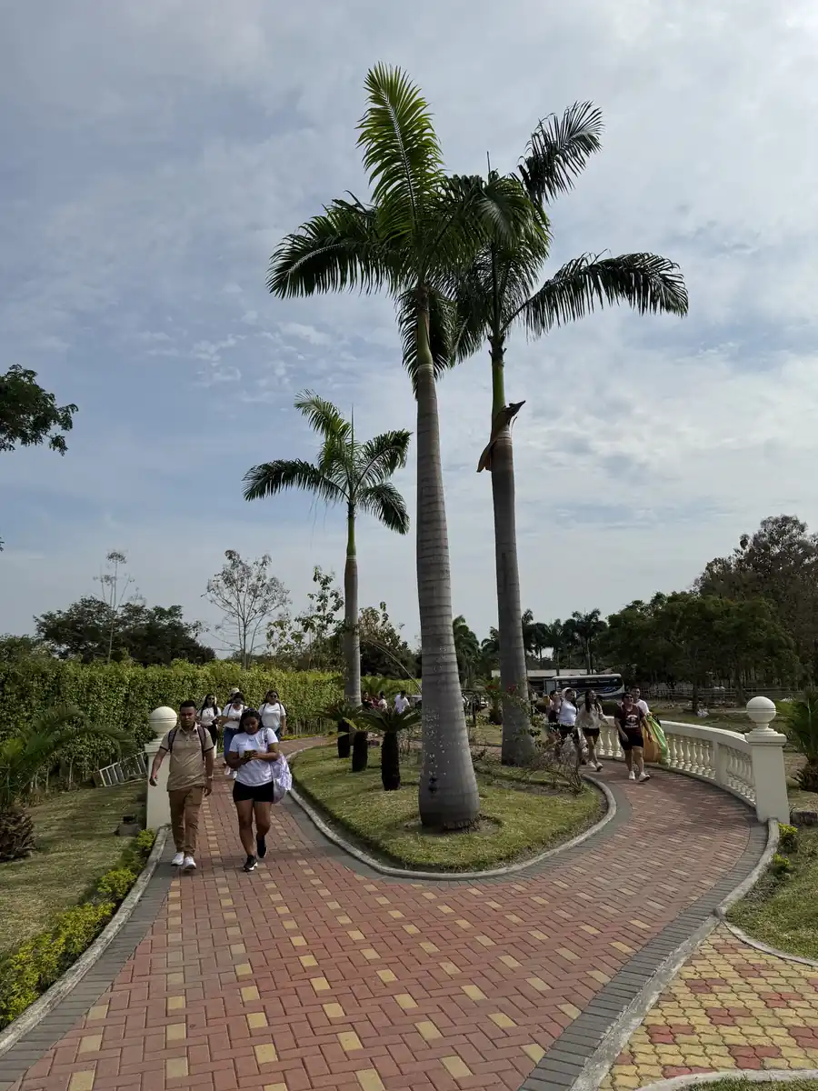 Visitantes recorriendo un camino de adoquines con balaustrada blanca y palmeras en Casa Grande Resort