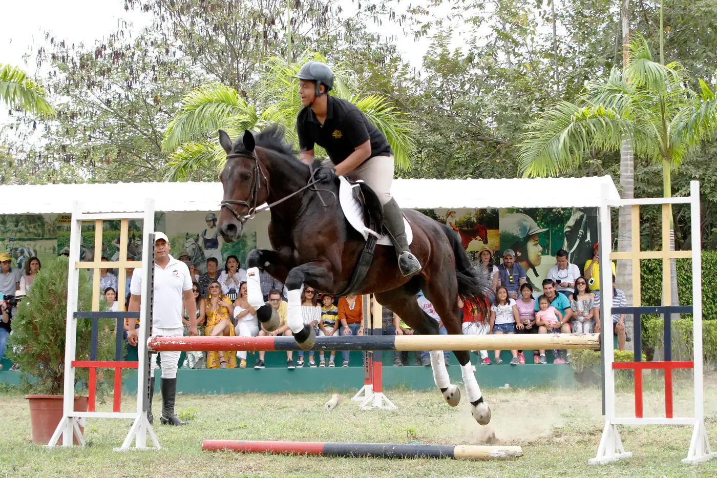 Jinete y caballo saltando un obstáculo ante el público en Casa Grande Resort