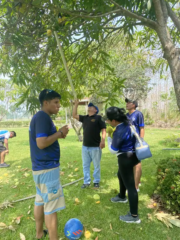 Visitantes recogiendo frutas de un árbol con una vara en las áreas verdes de Casa Grande Resort