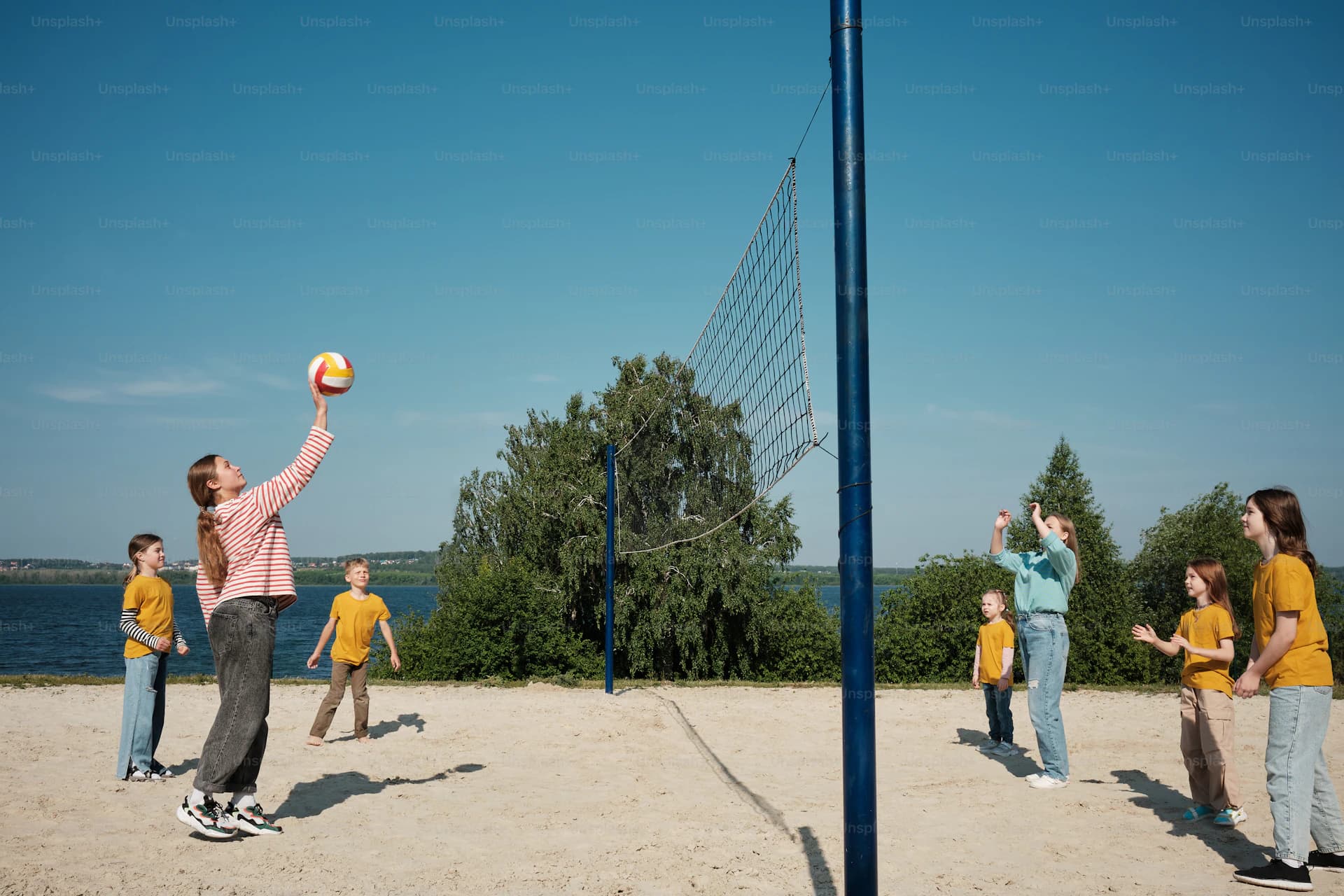 Canchas de vóleibol e indor
